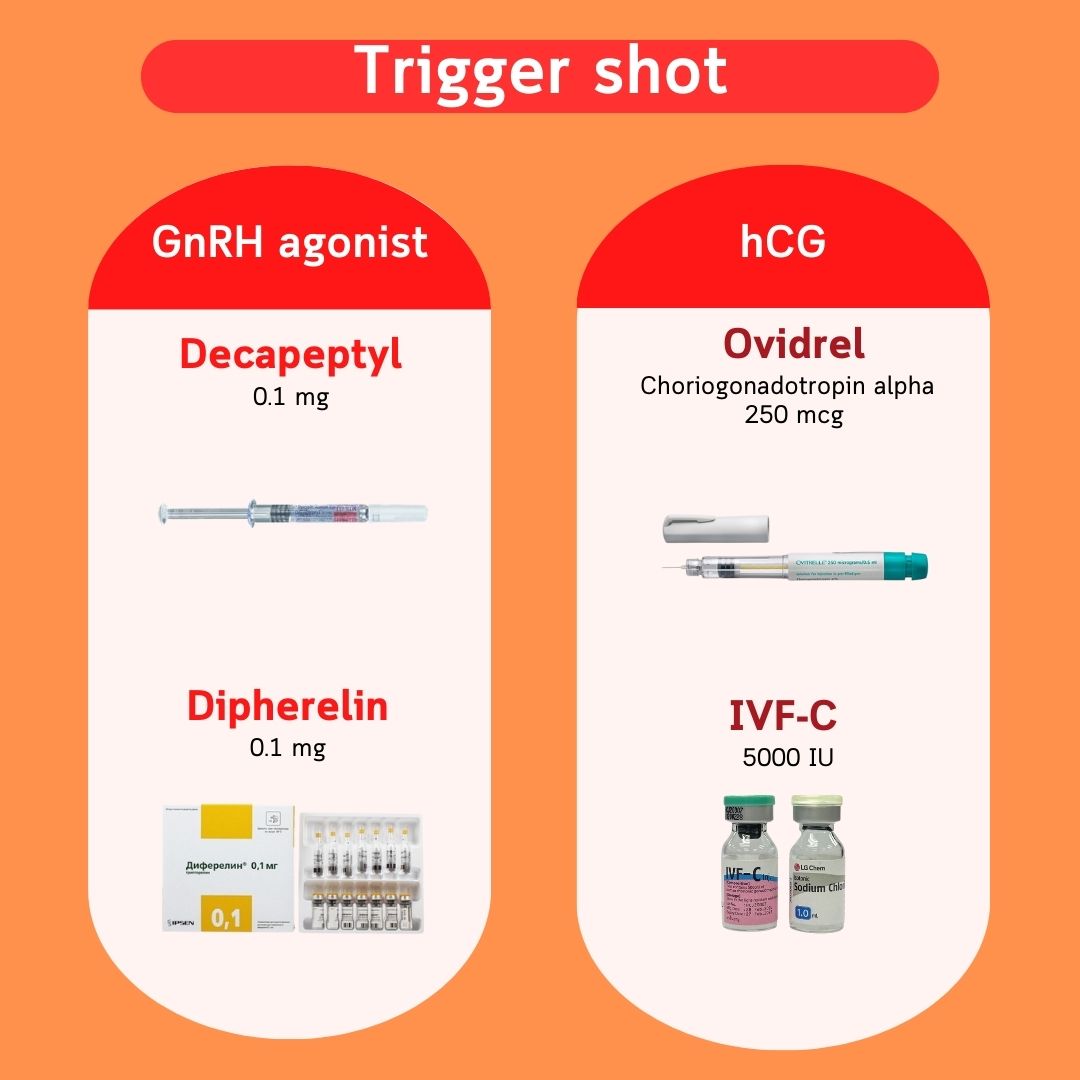 Mũi tiêm trưởng thành — chất chủ vận GnRH (Decapeptyl, Diphereline) và hCG (Ovidrel, IVF-C)